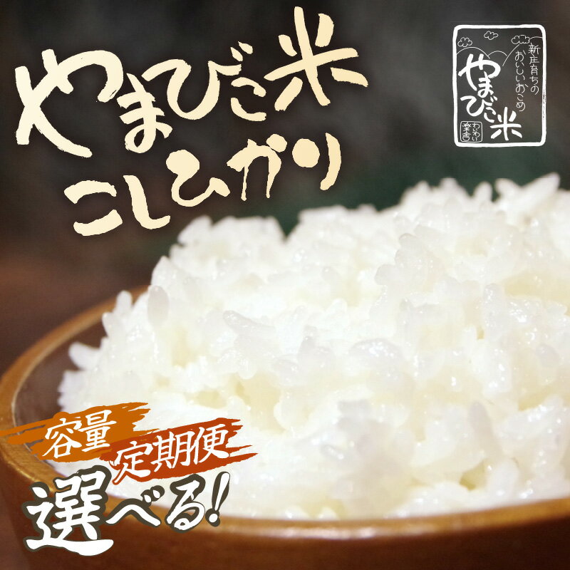 【ふるさと納税】【先行予約】【令和8年産・新米】米 コシヒカリ 新庄やまびこ米（白米）【選べる内容量/配送月：5kg/10kg/20kg】【単品・定期便】【2026年10月以降順次発送予定】お米定期便 特A こめ コメ おこめ こしひかり 5キロ 10キロ 定期便 おすすめ 産地直送 - 画像2