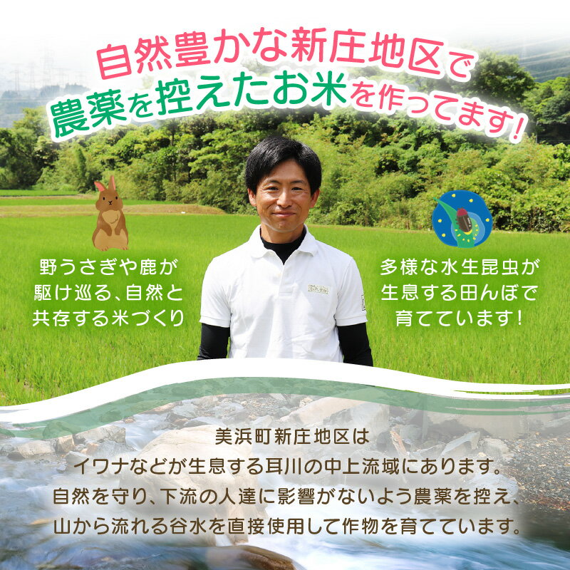 【ふるさと納税】【先行予約】【令和8年産・新米】米 コシヒカリ 新庄やまびこ米（白米）【選べる内容量/配送月：5kg/10kg/20kg】【単品・定期便】【2026年10月以降順次発送予定】お米定期便 特A こめ コメ おこめ こしひかり 5キロ 10キロ 定期便 おすすめ 産地直送 - 画像3