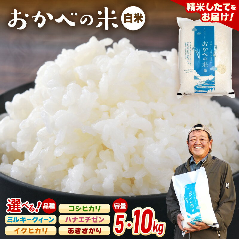 【ふるさと納税】【先行予約】令和8年産 愛情たっぷり 健やかに育った 白米 新米 お米【選べる銘柄：コシヒカリ/ミルキークィーン/ハナエチゼン/イクヒカリ/あきさかり】ブランド米 kome【選べる内容量：5kg/10kg】【2026年9月上旬以降順次発送予定】コメ こめ おこめ - 画像2