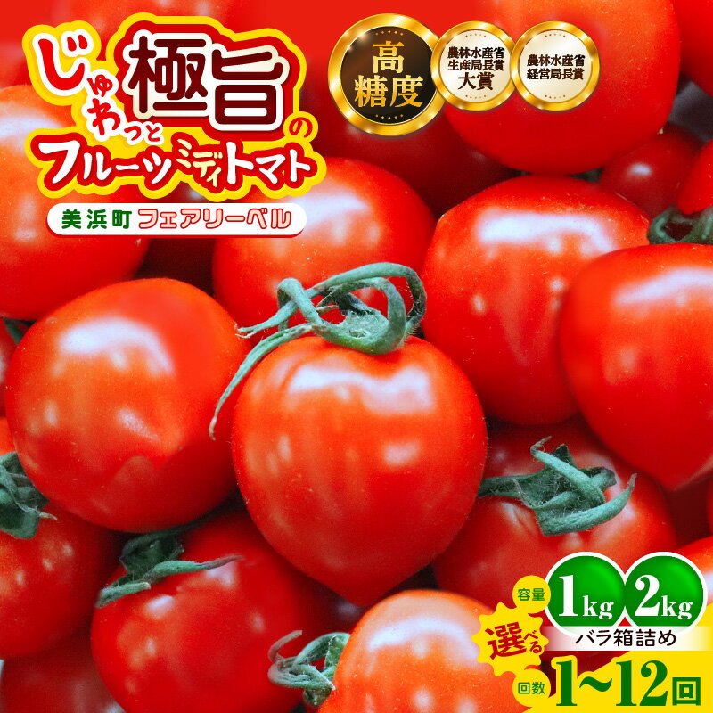 じゅわっと極旨のフルーツミディトマト (バラ箱詰め)【選べる容量／回数】 【 とまと トマト フルーツトマト ミニトマト トマトジュース 野菜 やさい 人気 新鮮 産地直送 甘い 高糖度 完熟 食べやすい リコピン ビタミン ダイエット 美容 美肌 】