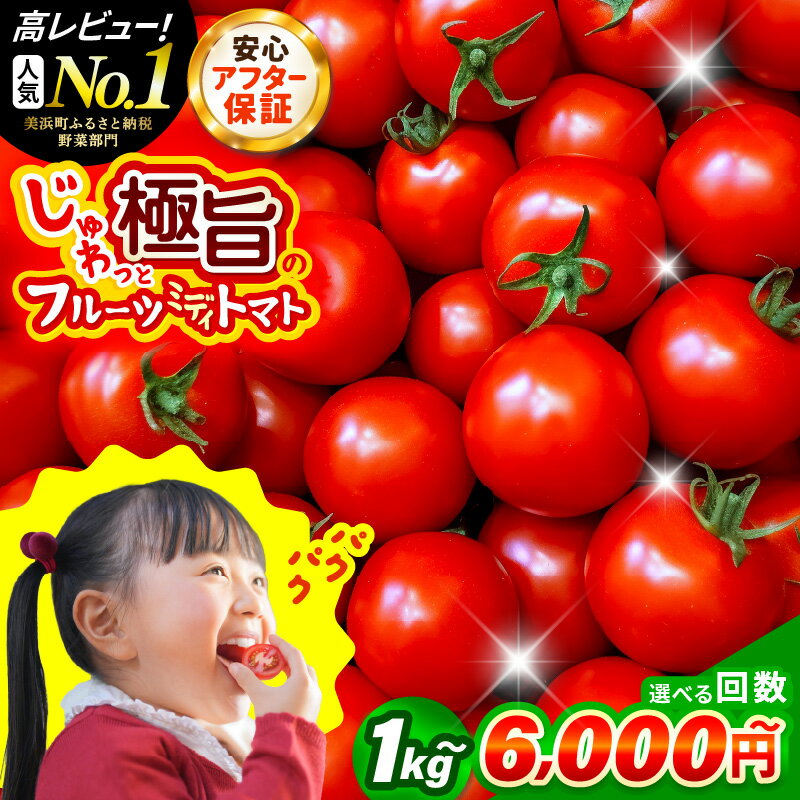 野菜 じゅわっと極旨のフルーツミディトマト【選べる容量／回数】【 とまと トマト 新鮮野菜 やさい フルーツトマト ミニトマト トマトジュース サラダ 人気 新鮮 産地直送 甘い 高糖度 完熟 リコピン ビタミン ダイエット 美容 美肌 健康 食べやすい 】