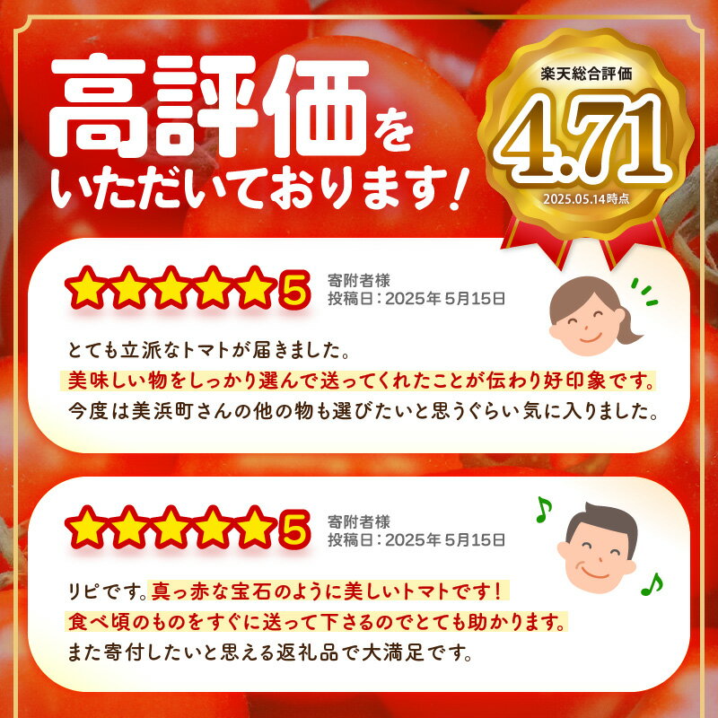 【ふるさと納税】野菜 じゅわっと極旨のフルーツミディトマト【選べる容量／回数】【 とまと トマト 新鮮野菜 やさい フルーツトマト ミニトマト トマトジュース サラダ 人気 新鮮 産地直送 甘い 高糖度 完熟 リコピン ビタミン ダイエット 美容 美肌 健康 食べやすい 】 - 画像3