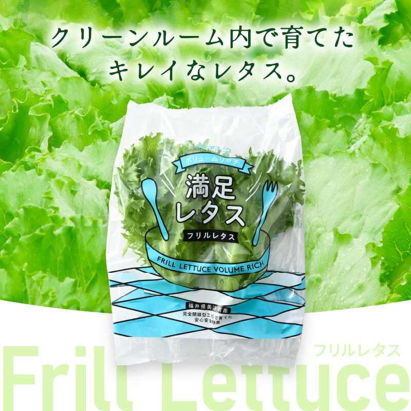 【ふるさと納税】新鮮野菜 美浜の水で育った ピュアレタス フリルレタス【選べる内容量／回数】【栽培期間中 農薬不使用 野菜 生野菜 レタス 詰め合わせ サラダ サンドイッチ お弁当 水耕栽培 洗わず食べられる 時短 ダイエット ヘルシー】 - 画像3