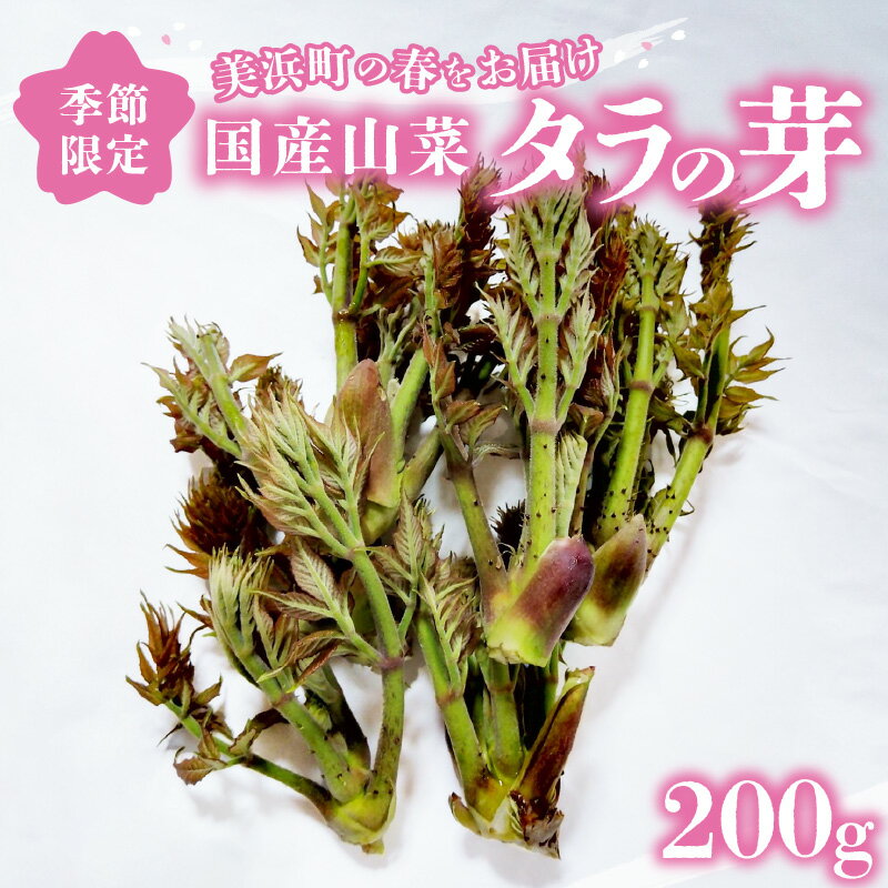 【ふるさと納税】【先行予約】【季節限定】国産山菜 タラの芽 美浜町の春をお届け【2026年4月上旬以降順次発送予定】【旬 山菜 野菜 たらの芽 天ぷら 春野菜】 - 画像2