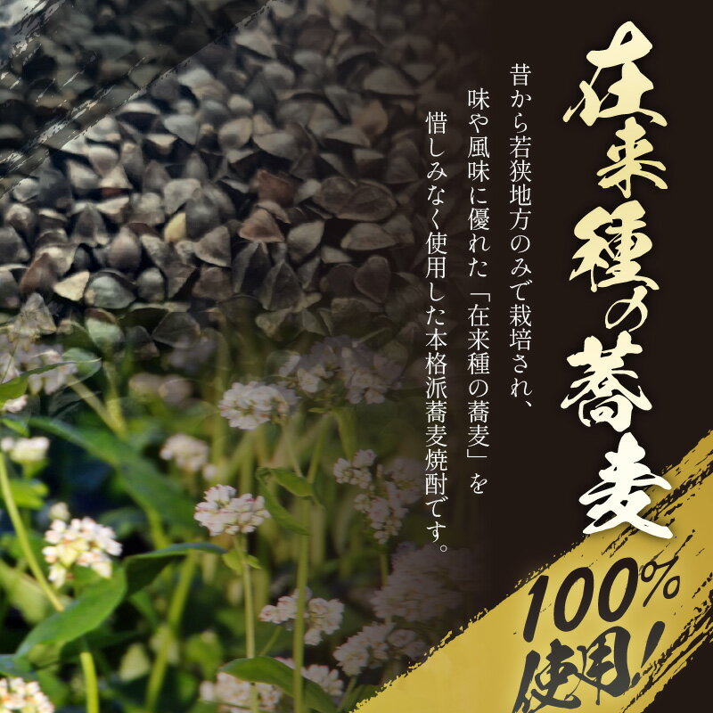 【ふるさと納税】本格焼酎 ワカサテロワール 720ml 【蕎麦焼酎25度】蕎麦焼酎 そば焼酎 しょうちゅう 酒 お酒 アルコール 飲料 水割り お湯割り ロック ストレート ギフト プレゼント お正月 サムネイル3