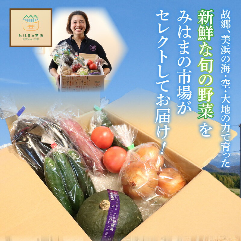 【ふるさと納税】旬のおまかせ 「若狭みはま」の新鮮野菜セット 8種以上＋特産品1品 【選べるお届け回数：1回/3回/6回/9回/12回】【ふるさと納税 春野菜 夏野菜 秋野菜 冬野菜 定期便 定期 やさい 野菜 セット 詰合せ 大容量 産地直送 旬 新鮮 採れたて おススメ 人気 】 - 画像3