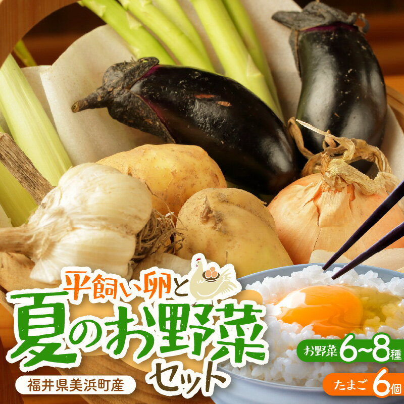 【ふるさと納税】【先行予約】お野菜セット 旬の夏野菜と平飼い卵のお楽しみボックス【2026年7月上旬以降順次発送予定】【野菜 卵 セット 新鮮野菜 詰め合わせ 農家直送 旬野菜 季節限定 旬の味覚 平飼い 卵焼き たまご】 - 画像2