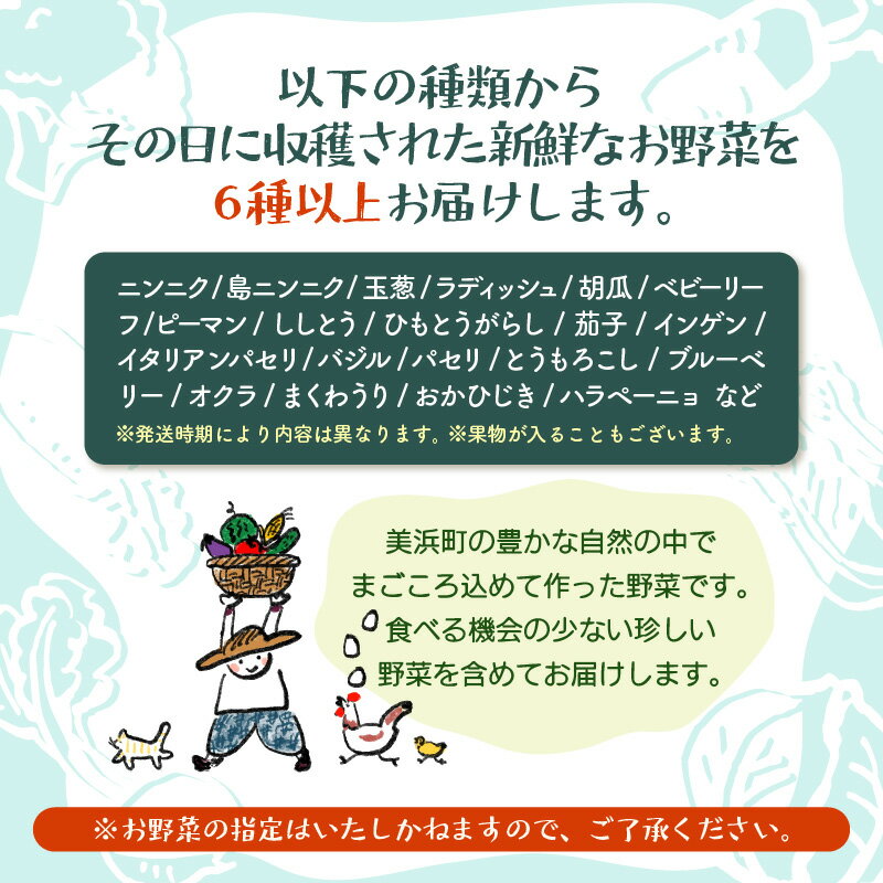 【ふるさと納税】【先行予約】お野菜セット 旬の夏野菜と平飼い卵のお楽しみボックス【2026年7月上旬以降順次発送予定】【野菜 卵 セット 新鮮野菜 詰め合わせ 農家直送 旬野菜 季節限定 旬の味覚 平飼い 卵焼き たまご】 - 画像3