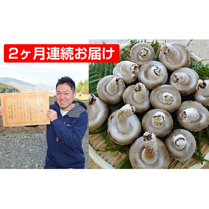 【2ヶ月連続】菌床による、生シイタケで「おーい菌床しいたけ」1kg×2ヶ月 野菜 きのこ 茸 キノコ 椎茸