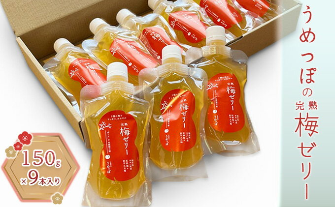 【ふるさと納税】うめっぽの完熟梅ゼリー9本セット　福井県おおい町産梅使用 発酵食品 梅肉 詰め合わせ - 画像2