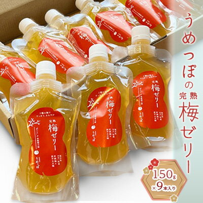 うめっぽの完熟梅ゼリー9本セット　福井県おおい町産梅使用 発酵食品 梅肉 詰め合わせ