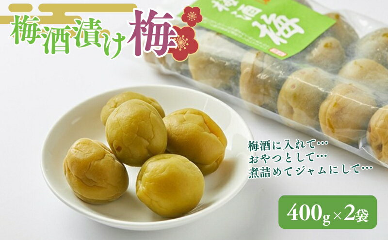 【ふるさと納税】梅酒の梅 2袋セット(梅酒に入れて、おやつに、おつまみに、煮詰めてジャムに) 加工食品 サムネイル2