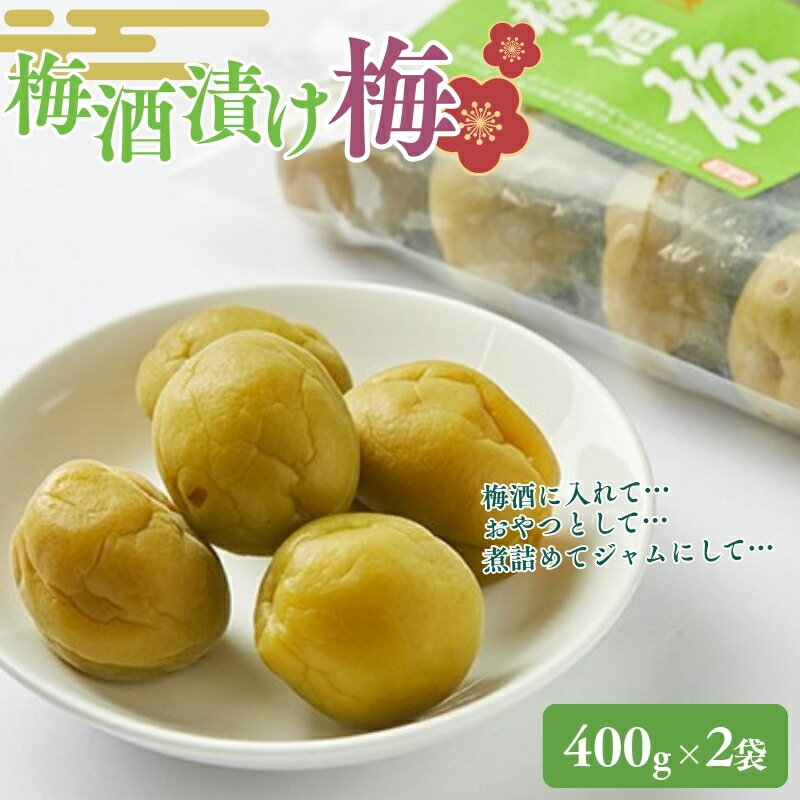 梅酒の梅 2袋セット(梅酒に入れて、おやつに、おつまみに、煮詰めてジャムに) 加工食品
