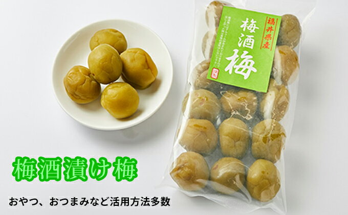 【ふるさと納税】梅酒の梅 5袋セット(梅酒に入れて、おやつに、おつまみに、煮詰めてジャムに) 加工食品 サムネイル2