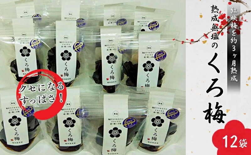 【ふるさと納税】とてもすっぱい 熟成無塩の「くろ梅」　12袋セット　紅映梅を使用 梅干し サムネイル2