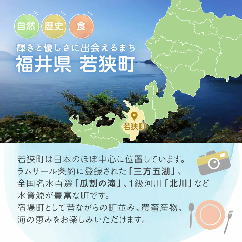 【ふるさと納税】旅行 福井県 若狭町 プレミアム 宿泊 利用券 30,000円分 1枚 宿泊補助券 ホテル 旅館 民宿 温泉 温泉宿 温泉宿泊券 1泊2食 旅行券 宿泊券 トラベル 旅行クーポン ホテル券 ギフト券 チケット 旅 福井 若狭 サムネイル3