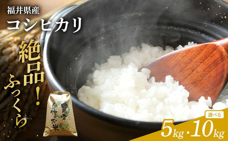 【ふるさと納税】選べる 米 令和7年産 コシヒカリ 5kg 10kg 白米 精米 単一原料米 ブランド米 高評価 - 画像2