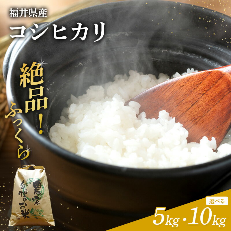 選べる 米 令和7年産 コシヒカリ 5kg 10kg 白米 精米 単一原料米 ブランド米 高評価