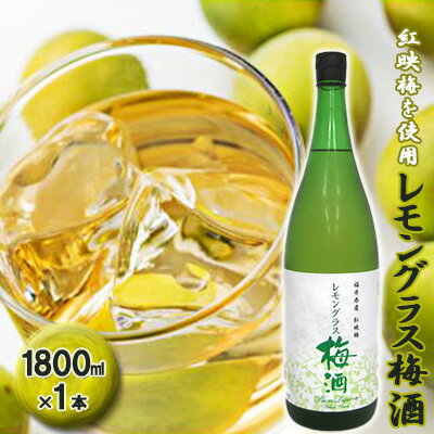 福井県産 紅映梅を使用した レモングラス梅酒（1800ml）1本　 お酒 洋酒 リキュール リキュール類