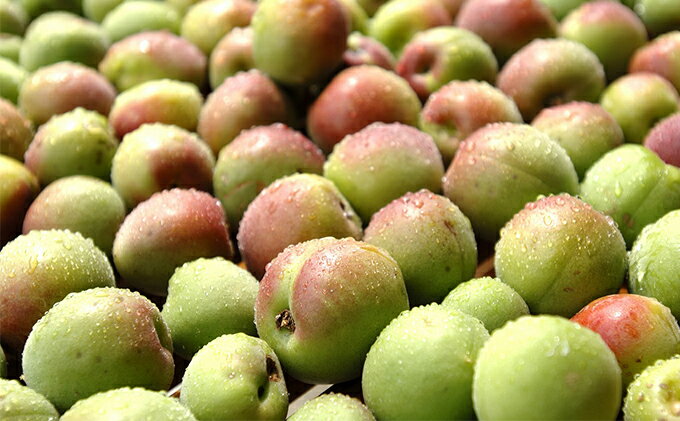 【ふるさと納税】福井県産 紅映梅を使用した レモングラス梅酒（1800ml）1本　 お酒 洋酒 リキュール リキュール類 サムネイル3