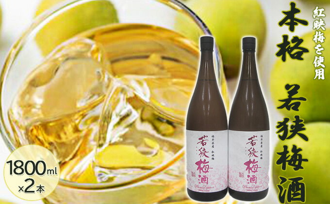 【ふるさと納税】福井県産 紅映梅を使用した本格梅酒 若狭梅酒（1800ml）2本セット　 お酒 洋酒 リキュール リキュール類 サムネイル2