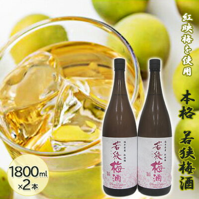 福井県産 紅映梅を使用した本格梅酒 若狭梅酒（1800ml）2本セット　 お酒 洋酒 リキュール リキュール類
