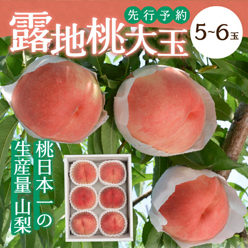 【ふるさと納税】 桃 山梨 大玉 冷蔵配送 先行予約 2026年 白凰 白桃 ピーチ 山梨県産 産地直送 選べる種類 特秀 露地桃 フルーツ王国 5〜6玉 1.8kg 2026年7月上旬〜下旬にかけて順次配送 k003-018 - 画像3