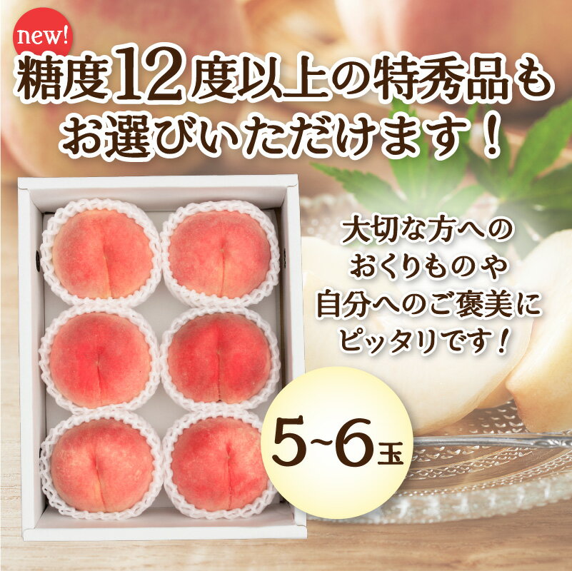 【ふるさと納税】 桃 山梨 大玉 冷蔵配送 先行予約 2026年 白凰 白桃 ピーチ 山梨県産 産地直送 選べる種類 特秀 露地桃 フルーツ王国 5〜6玉 1.8kg 2026年7月上旬〜下旬にかけて順次配送 k003-018 - 画像2