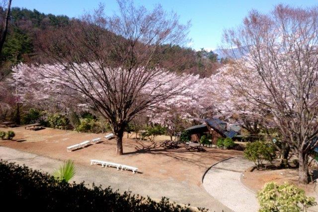 【ふるさと納税】 キャンプ 山梨 利用券 宿泊券 森の中のキャンプ場 自然 昇仙峡近く 都心から近い 送料無料 k033-001 サムネイル3