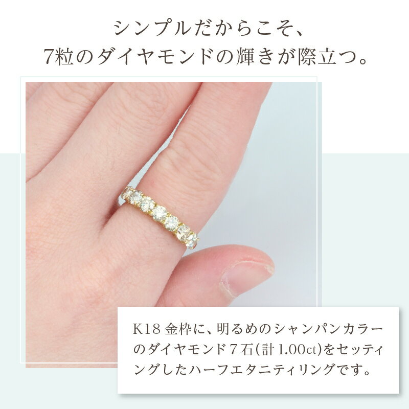 【ふるさと納税】＜ 甲府ジュエリー ＞ 【高評価★4.8】 リング ダイヤ ハーフエタニティ K18 指輪 レディース ジュエリー ブラウンダイヤ シャンパンカラー シンプル プレゼント ギフト アクセサリー 贈り物 鑑別書付 保証書付 k101-003 サムネイル3