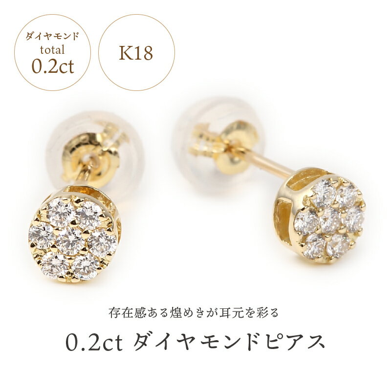 【ふるさと納税】＜ 甲府ジュエリー ＞ ピアス ジュエリー アクセサリー レディース ダイヤモンド 0.20カラット シンプル 選べる地金 イエローゴールド K18 プラチナ PT900 丸型 ギフト プレゼント 誕生日 ジュエリーケース付 鑑別書付 保証書付 k098-031 サムネイル2