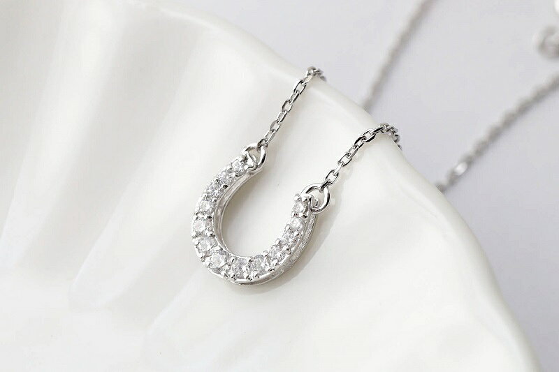 【ふるさと納税】＜ 甲府ジュエリー ＞ ネックレス ペンダント ジュエリー アクセサリー レディース ダイヤモンド 選べる地金 K18 プラチナ 馬蹄 リバーシブル お守り 2way ジュエリーケース付 保証書付 k118-085 サムネイル3