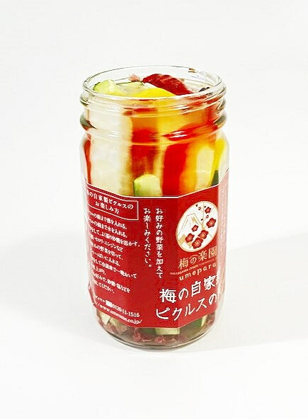 【ふるさと納税】 ピクルス 梅 ピクルスの素 3個セット 本格的 自家製 スパイス ハーブ k099-010 サムネイル3