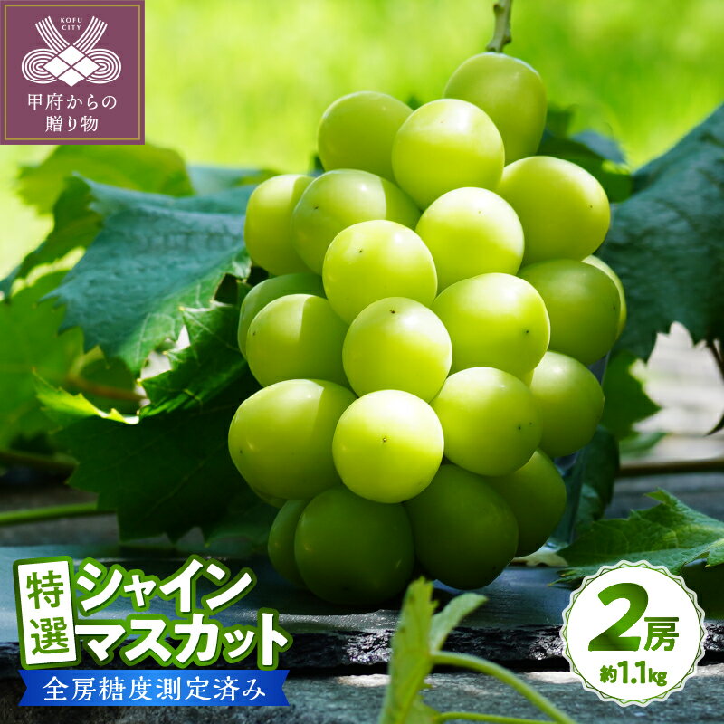 2026年 先行予約 シャインマスカット 【高評価★4.93】 山梨県 ブドウ 種なし リピーター多数 数量限定 草生栽培 2房 約1.1kg 糖度測定 2026年8月上旬より順次配送予定 果物 フルーツ 王国 山梨 k150-010