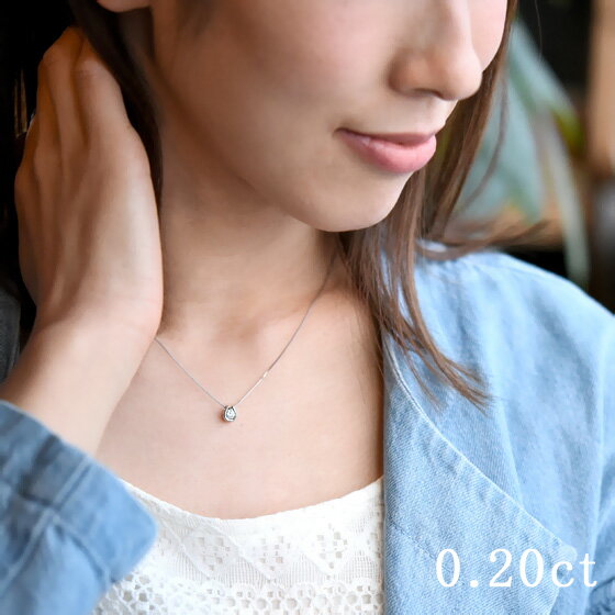 【ふるさと納税】＜ 甲府ジュエリー ＞ ペンダント ネックレス レディース ジュエリー アクセサリー プラチナ ダイヤモンド 0.2ct 馬蹄 ジュエリーケース付き ギフト ラッピング 贈り物 鑑別カード付 保証書付 k167-023 サムネイル3