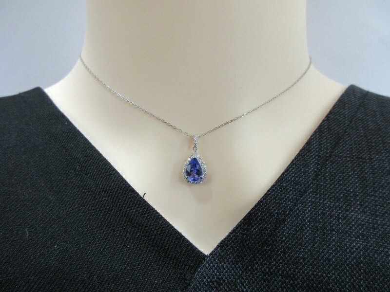 【ふるさと納税】 ＜ 甲府ジュエリー ＞ ネックレス ペンダント ジュエリー レディース アクセサリー プラチナ ダイヤモンド 0.2ct タンザナイト 贈り物 ギフト プレゼント ジュエリーケース付 保証書付 k176-003 サムネイル3