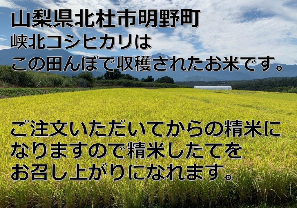 【ふるさと納税】 米 精米 コシヒカリ 10kg 令和7年度産 保湿袋 老舗米屋 ごはん 山梨県産 峡北 k193-006 - 画像3