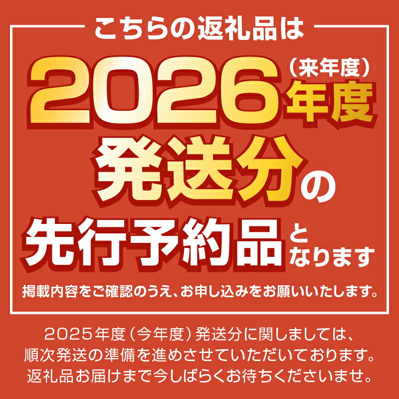 【ふるさと納税】 2026年 先行予約 ☆総合ランキング1位★ 山梨 県産 【★高評価★】シャイン 10000円 ぶどう シャインマスカット 令和8年 フルーツ 王国山梨 人気 果物 2房 冷蔵 1.0kg以上 種なし 大粒 高級 甘い 【2026年8月中旬〜10月上旬頃順次発送】 k245-002 サムネイル2