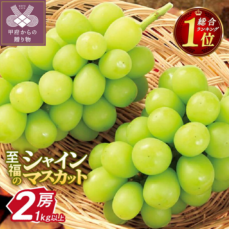 2026年 先行予約 ☆総合ランキング1位★ 山梨 県産 【★高評価★】シャイン 10000円 ぶどう シャインマスカット 令和8年 フルーツ 王国山梨 人気 果物 2房 冷蔵 1.0kg以上 種なし 大粒 高級 甘い 【2026年8月中旬〜10月上旬頃順次発送】 k245-002