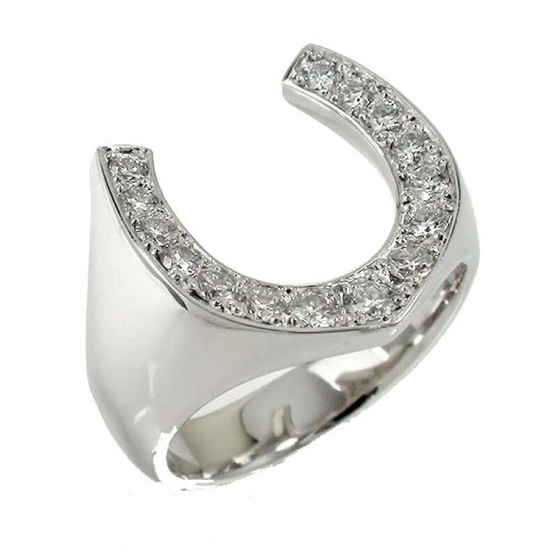 【ふるさと納税】＜ 甲府ジュエリー ＞ 馬蹄リング ホースシューリング pt900 プラチナ メンズリング 指輪 ジュエリーケース付 保証書付 161020osm10 k286-013 サムネイル2