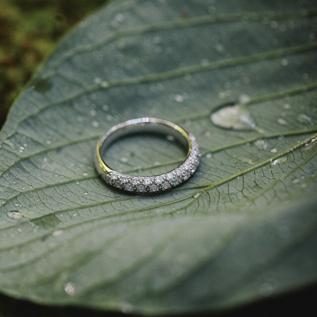 【ふるさと納税】＜ 甲府ジュエリー ＞ リング 指輪 ダイヤモンド ジュエリー レディース アクセサリー 0.47ct 天然 プラチナ950 パヴェリング ギフト プレゼント ケース付 保証書付 k290-021 サムネイル2