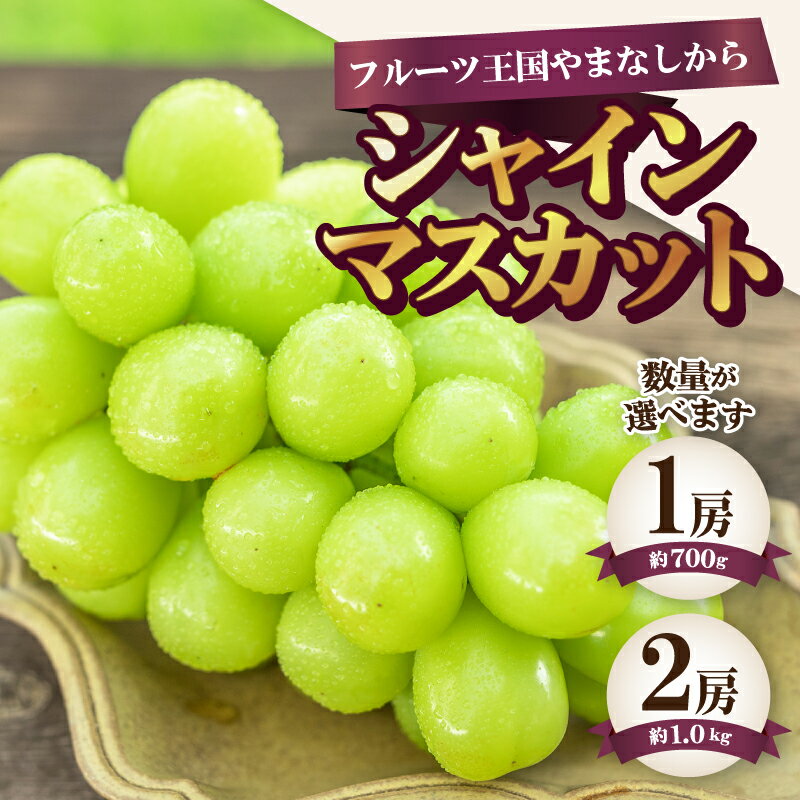 【ふるさと納税】 選べる内容量 ◆山梨県産 大粒シャイン◆ 先行予約 2026年 甲府市産 ぶどう フルーツ 果物 冷蔵 厳選 シャインマスカット 種なし 甘い シャイン 大粒 贈り物 お中元 贈答品 手土産 フルーツ王国山梨 産地直送 数量限定 期間限定 2026年度配送分 k330-001 - 画像3