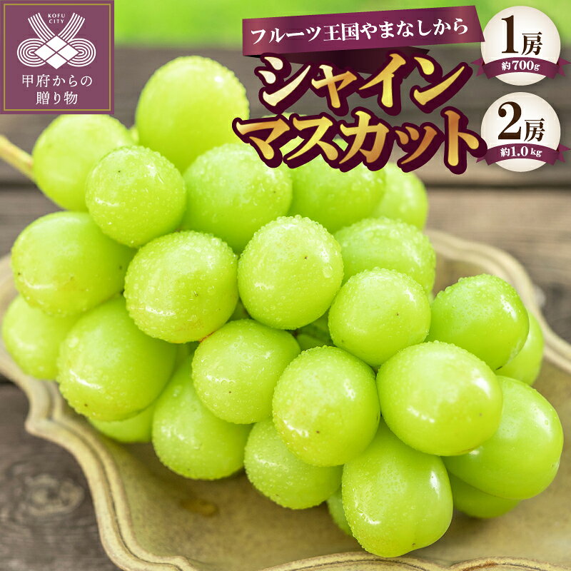 選べる内容量 ◆山梨県産 大粒シャイン◆ 先行予約 2026年 甲府市産 ぶどう フルーツ 果物 冷蔵 厳選 シャインマスカット 種なし 甘い シャイン 大粒 贈り物 お中元 贈答品 手土産 フルーツ王国山梨 産地直送 数量限定 期間限定 2026年度配送分 k330-001