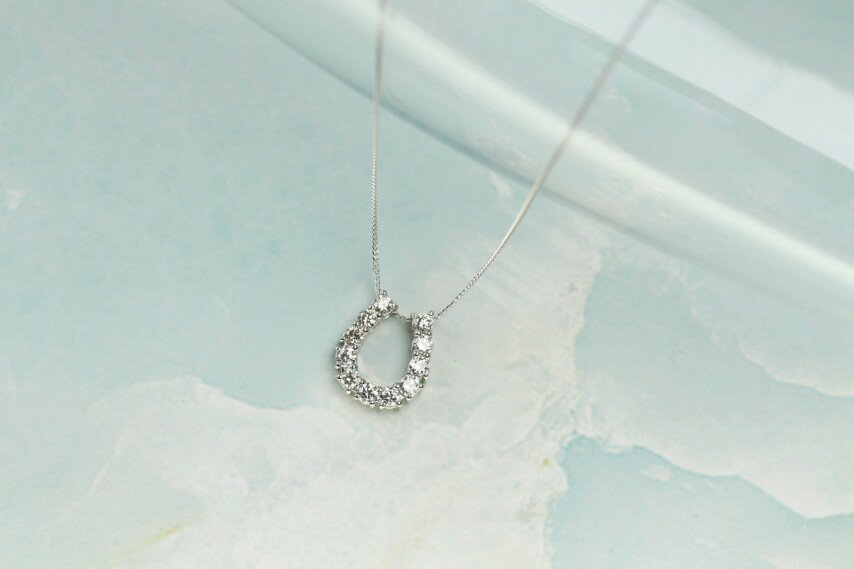 【ふるさと納税】＜ 甲府ジュエリー ＞ ネックレス ペンダント ジュエリー レディース アクセサリー ダイヤモンド プラチナ900 約50cm 馬蹄 ギフト プレゼント ジュエリーボックス付 鑑別書付 保証書付 k344-014 サムネイル2