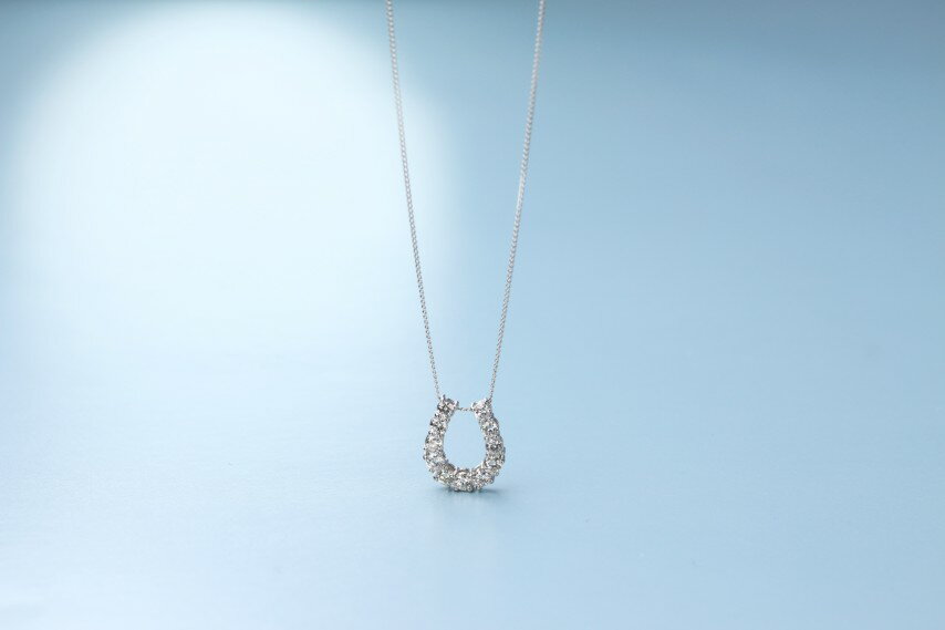 【ふるさと納税】＜ 甲府ジュエリー ＞ ネックレス ペンダント ジュエリー レディース アクセサリー ダイヤモンド プラチナ900 約50cm 馬蹄 ギフト プレゼント ジュエリーボックス付 鑑別書付 保証書付 k344-014 サムネイル3