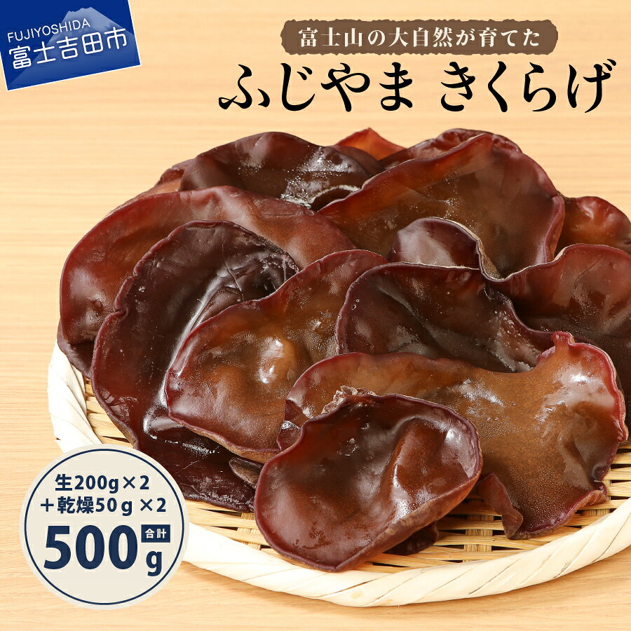 国産 きくらげ 木耳 鉄分 生 乾燥 きのこ 富士山 ふじやま キクラゲ 生きくらげ 200g×2 乾燥きくらげ 50g×2 有機JAS オーガニック 便利