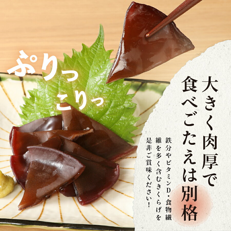 【ふるさと納税】 国産 きくらげ 木耳 鉄分 生 乾燥 きのこ 富士山 ふじやま キクラゲ 生きくらげ 200g 乾燥きくらげ 25g×2 有機JAS オーガニック セット サムネイル2