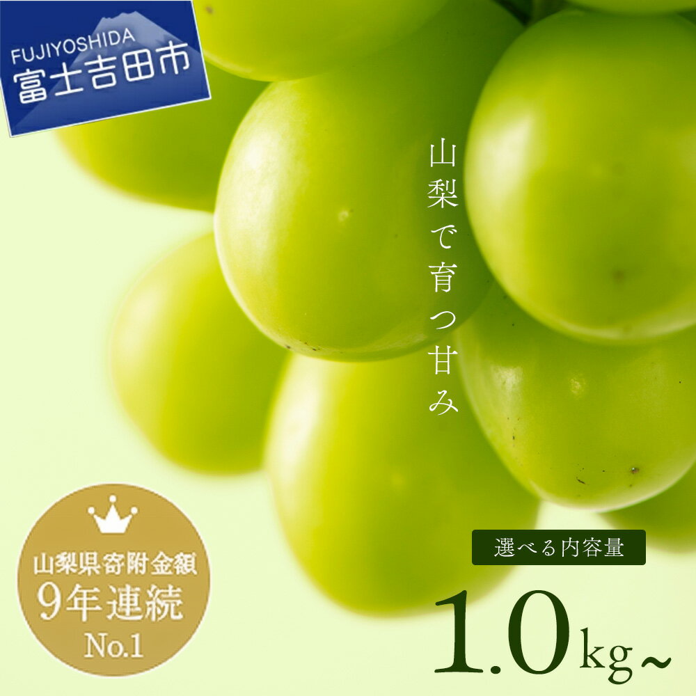 【 楽天限定 】 ★フルーツランキング「1位獲得！」★ 高レビュー続出 シャインマスカット 選べる容量 1kg～3kg ふるさと納税 フルーツ ぶどう 果物 送料無料 山梨県産 2026 発送 旬 大粒 高級 ブドウ おいしい 葡萄 富士吉田市 【 2026年発送 先行予約 】