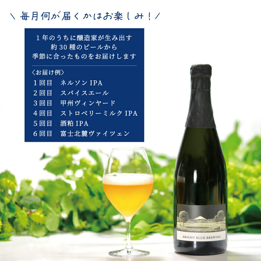 【ふるさと納税】 定期便 お楽しみ 6回 ビール クラフトビール 750ml 季節のクラフトビール シャンパンボトル ワイングラスで飲む BRIGHT BLUE BREWING さけ サムネイル3