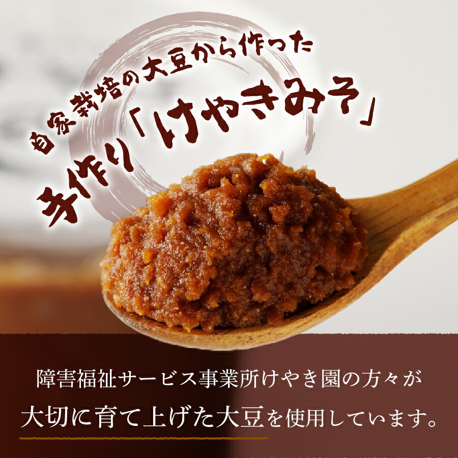 【ふるさと納税】 味噌 手作り 無添加 500g×2個 けやきみそ 自家栽培 大豆 自家製 計1kg 発酵 食品 調味料 米麹 国産 やまなし農福連携ロゴマーク承認 富士山の湧き水 けやき園 サムネイル2